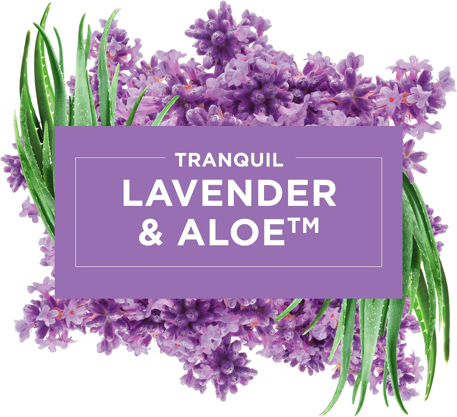 Glade Air Freshener, Room Spray, Tranquil Lavender & Aloe, 8 Oz