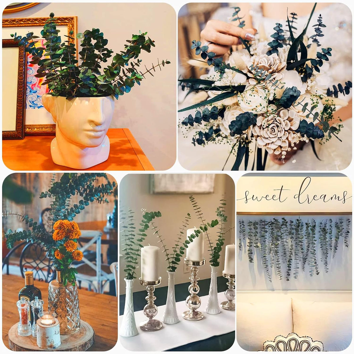 16 Pcs Dried Eucalyptus Stems for Shower Hanging