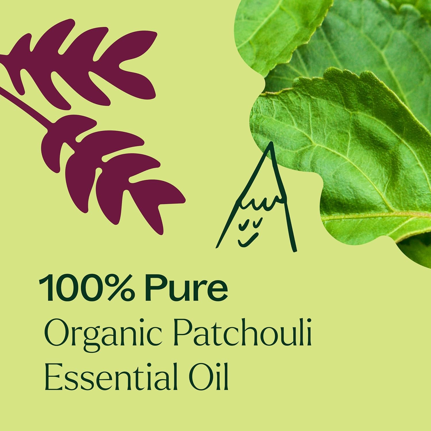 Plant Therapy Organic Patchouli Essential Oil 10 mL (1/3 oz) 100% Pure, Undiluted, Therapeutic Grade