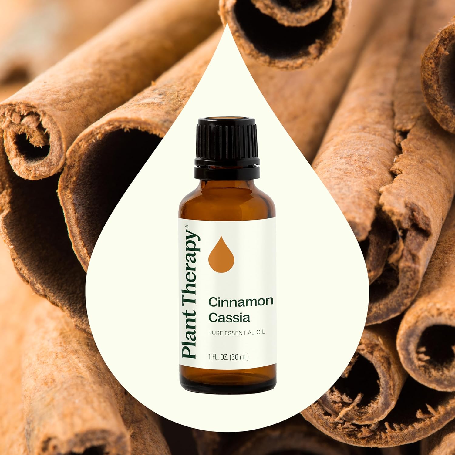 Plant Therapy Cinnamon Cassia Essential Oil 30 mL (1 oz) 100% Pure, Undiluted, Cozy Aroma, Soothes Sore Muscle