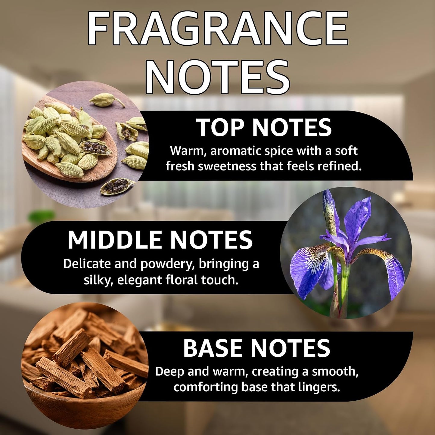 Santal Fragrance Oil | Cardamom, Iris & Woody Notes | Long Lasting Scent Reed Diffuser Oil for Home, Office, Hotel, Spa, Car & Linen Spray | Pet Friendly IFRA Compliant, 16 oz
