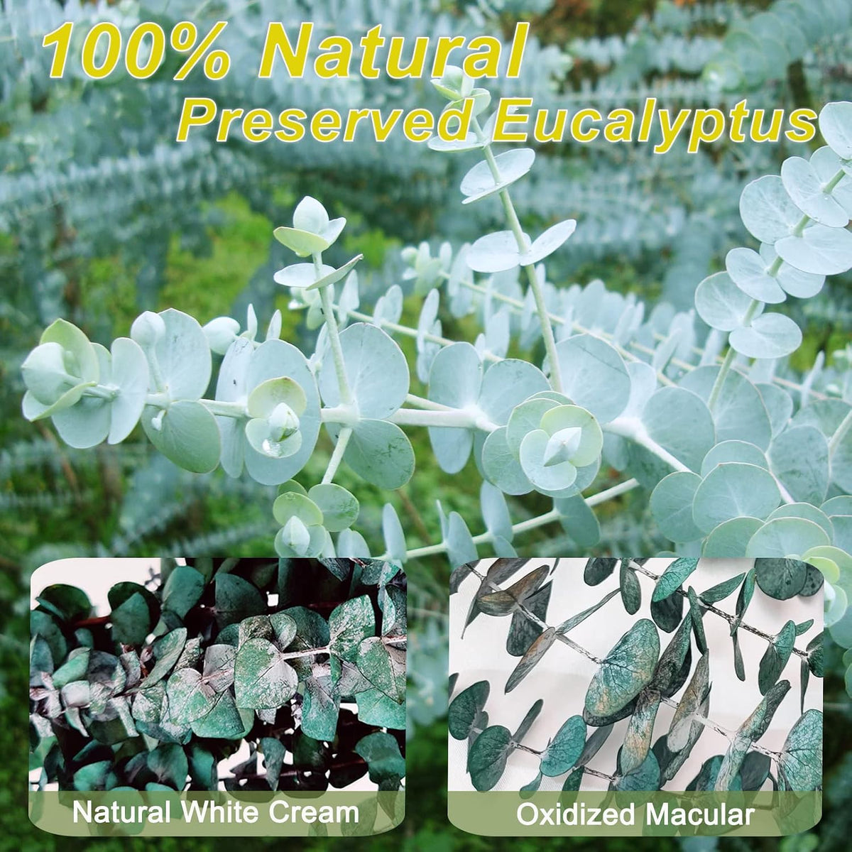 16 Pcs Dried Eucalyptus Stems for Shower Hanging