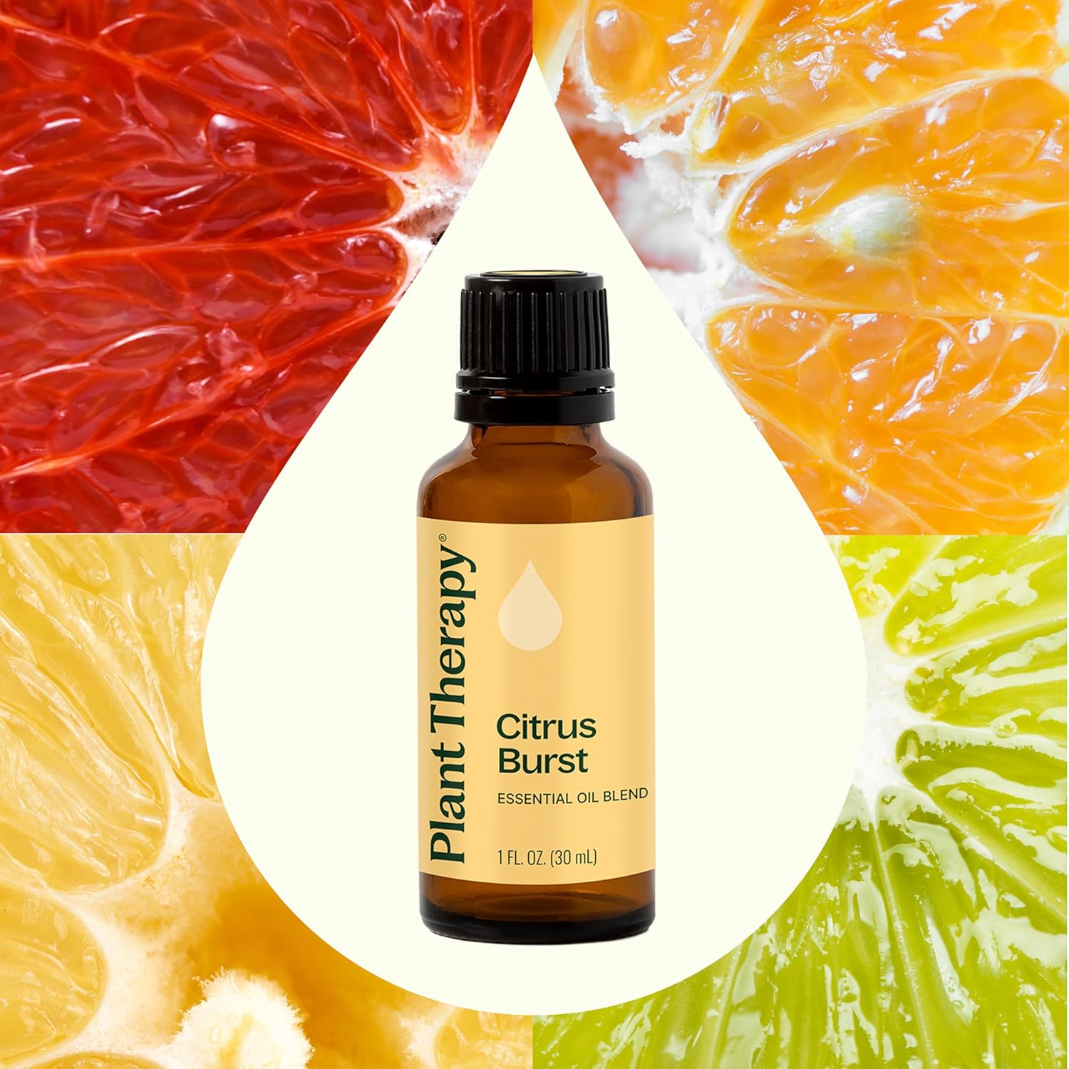 Plant Therapy Citrus Burst Essential Oil Blend, 30 mL (1 oz), Made with 100% Pure Essential Oils, Uplifting and Bright Scent, Great for Essential Oil Diffusers