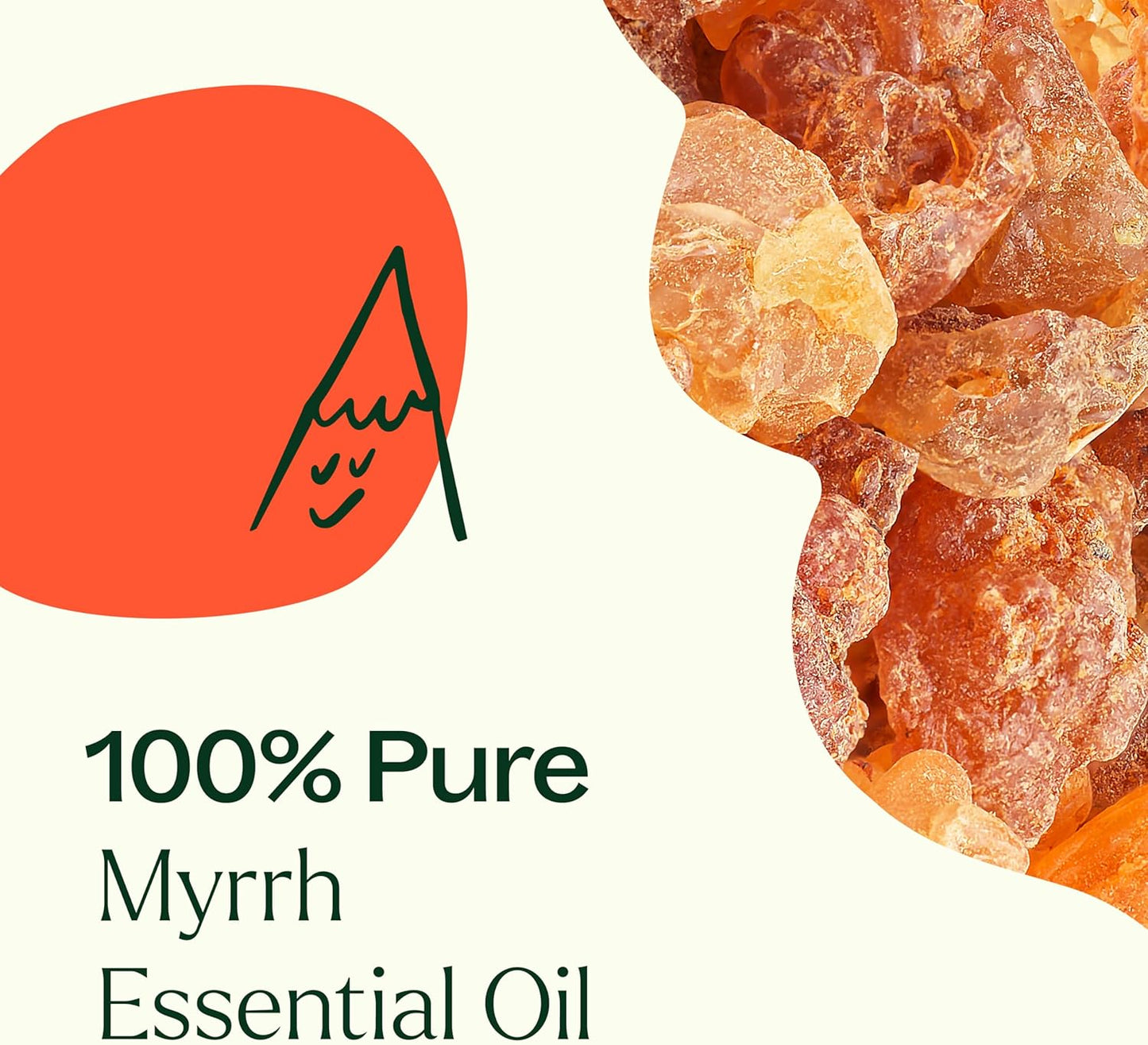 Plant Therapy Himalayan Cedarwood Essential Oil 10 mL (1/3 oz) 100% Pure, Undiluted, Refreshing Aromatherapy for Mental Focus and Clear