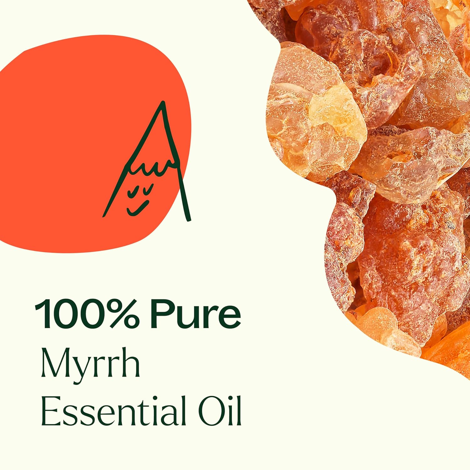 Plant Therapy Myrrh Essential Oil 100% Pure, Undiluted, Natural Aromatherapy, Therapeutic Grade 5 mL (1/6 oz)