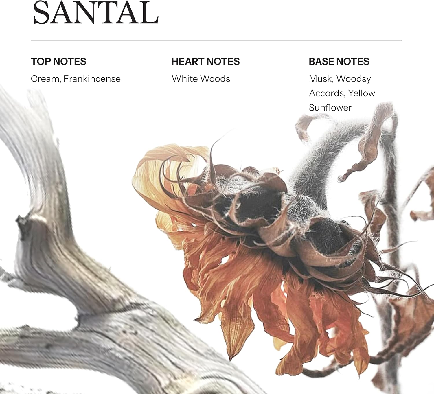 Santal Reed Diffuser Oil Refill 100ml, 3.38 oz, Luxury Home Fragrance with Warm Musk & Wood Notes, Long Lasting Aroma Inspired by 1 Hotels Miami, for Bedroom & Bathroom