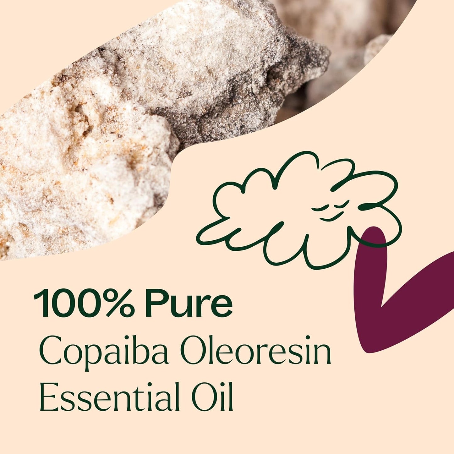 Plant Therapy Copaiba Oleoresin 10 mL (1/3 oz) 100% Pure, Undiluted, Aromatherapy, Soothing Natural Pain Relief and Skin Care