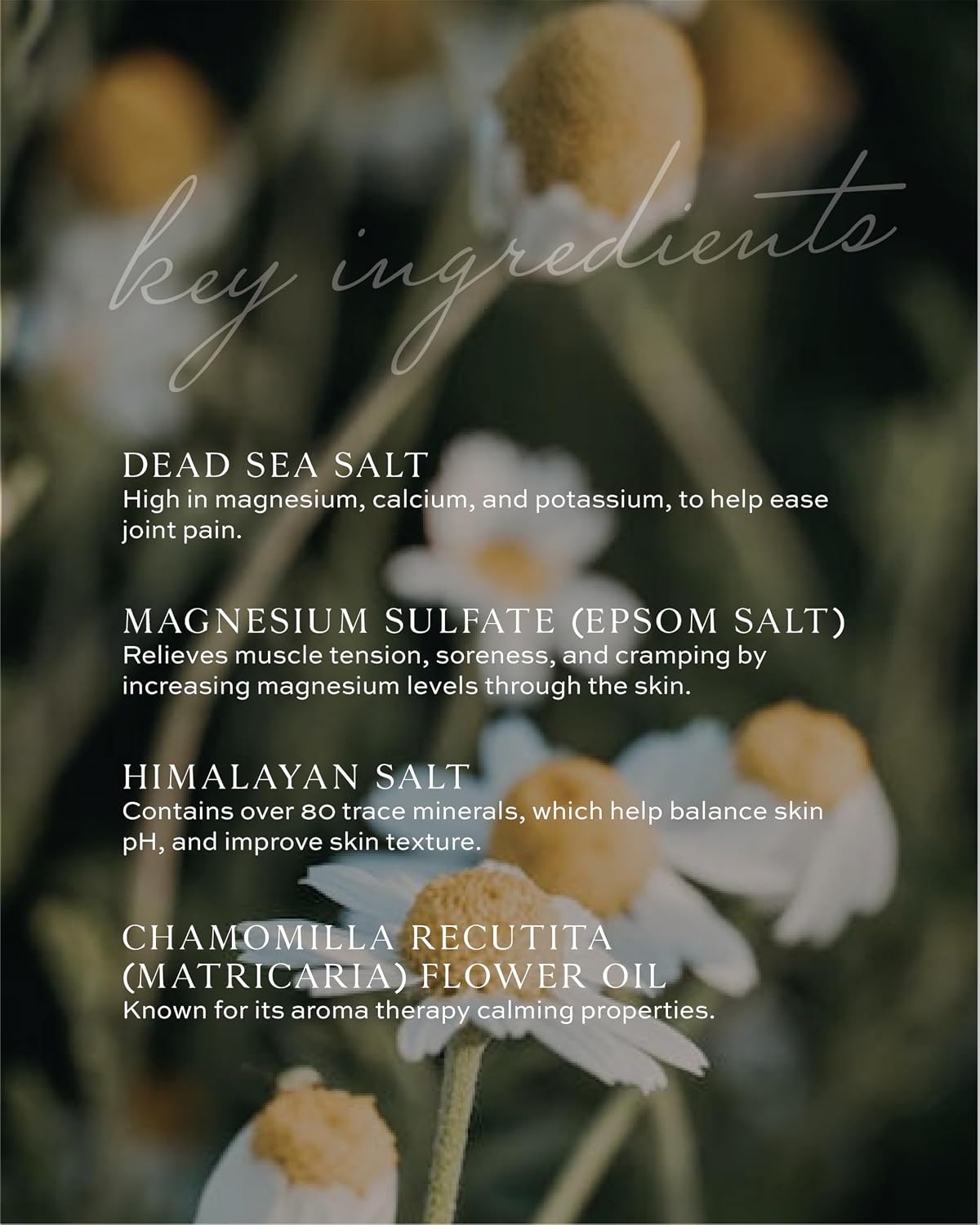 Promise Magnesium Bath Salts with Dead Sea Salt, Epsom Salt & Himalayan Salt | Lavender, Coconut & Chamomile Oils | Restorative Soak for Relaxation & Recovery | 6 Oz