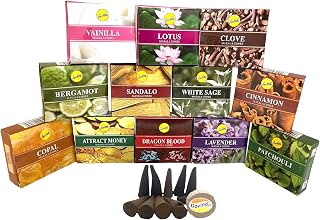 Sreevani Natural Masala Incense Cones and Holder Bundle, 120 Cones Total, Assorted #1