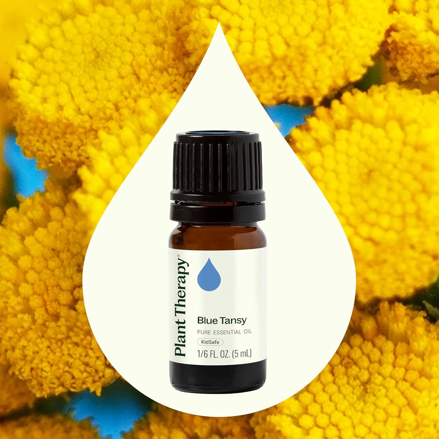 Plant Therapy Blue Tansy Essential Oil 100% Pure, Undiluted, Natural Aromatherapy, Therapeutic Grade 5 mL (1/6 oz)