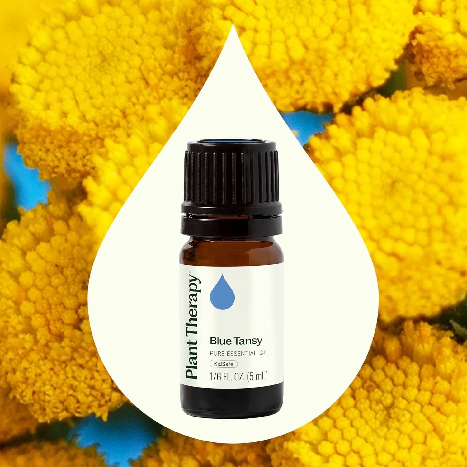 Plant Therapy Blue Tansy Essential Oil 100% Pure, Undiluted, Natural Aromatherapy, Therapeutic Grade 5 mL (1/6 oz)
