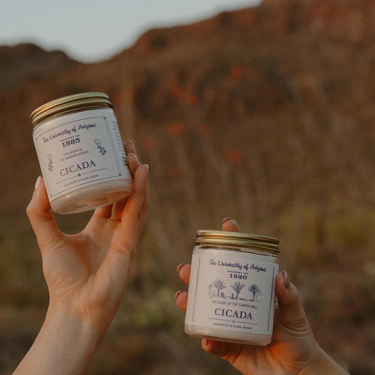 CICADA University of Arizona Inspired Scented Candle Bundle, Coconut-Soy Blend Wax Candles, Hand-Poured Arizona Home Fragrance Collection, 4-Scent Bundle (Four 7 oz Jar Candles)