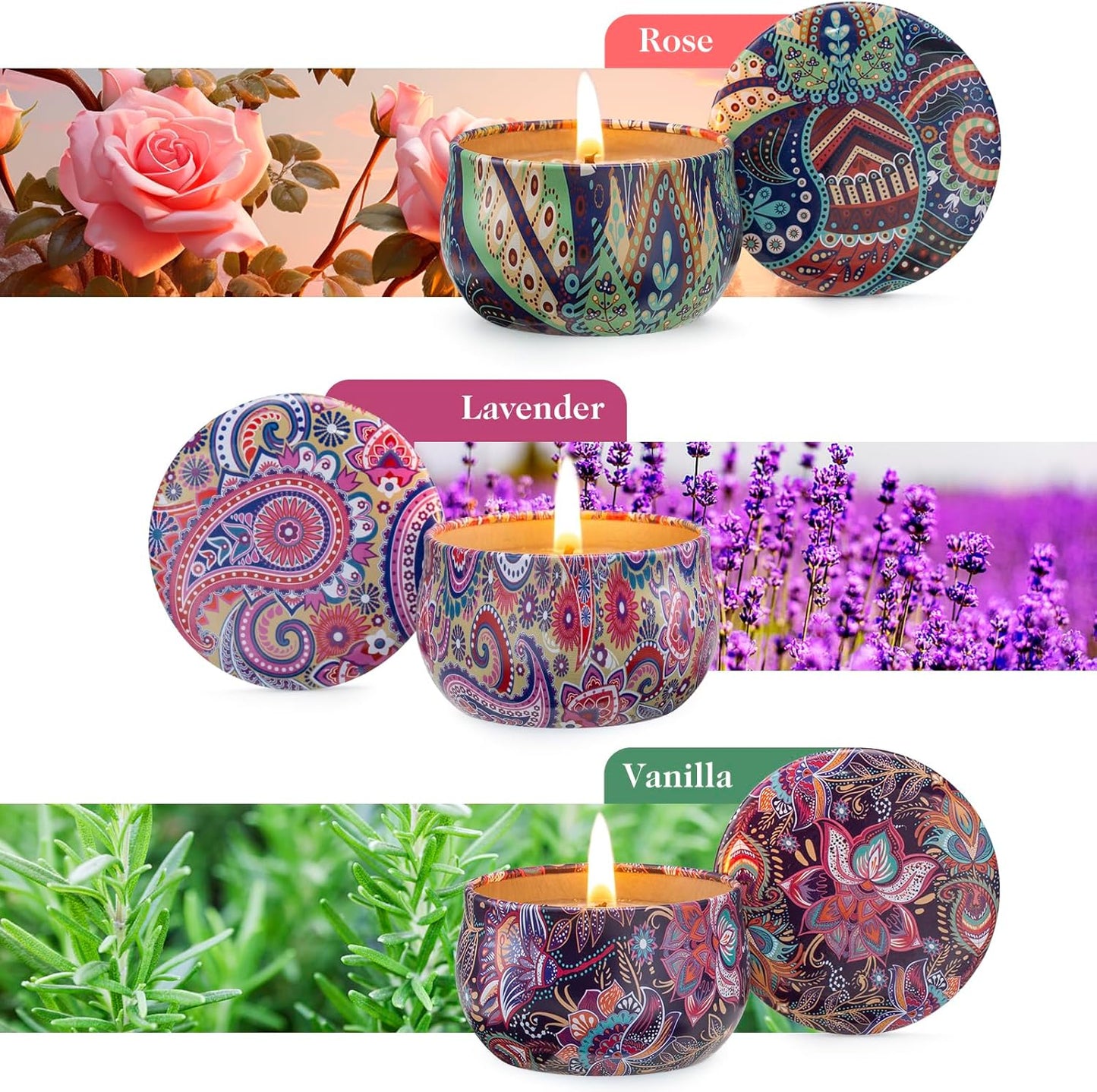 Hausware 3 Pack Scented Candles, 2.5 oz Aromatherapy Candles with Floral Scents,Soy Candles Set with 72H Burning Time,Ideal Gift for Women (Lavender+Vanilla+Rose)