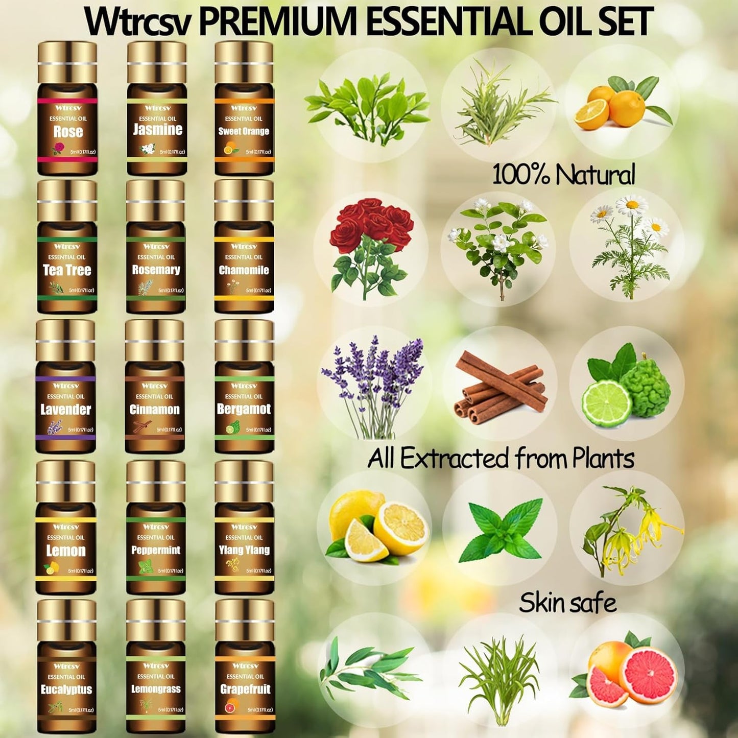 Essential Oils Set - Top 15 Scents for Diffuser, Humidifier, Skin Care, Aromatherapy, Massage, Candle & Soap Making - Fragrance Gift Set (5ml)