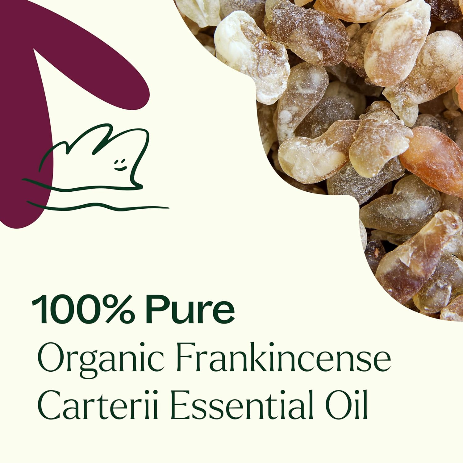 Plant Therapy Organic Frankincense Carterii Essential Oil 30 mL (1 oz) 100% Pure, USDA Certified Organic, Undiluted, Grounding Aromatherapy for Yoga and Meditation