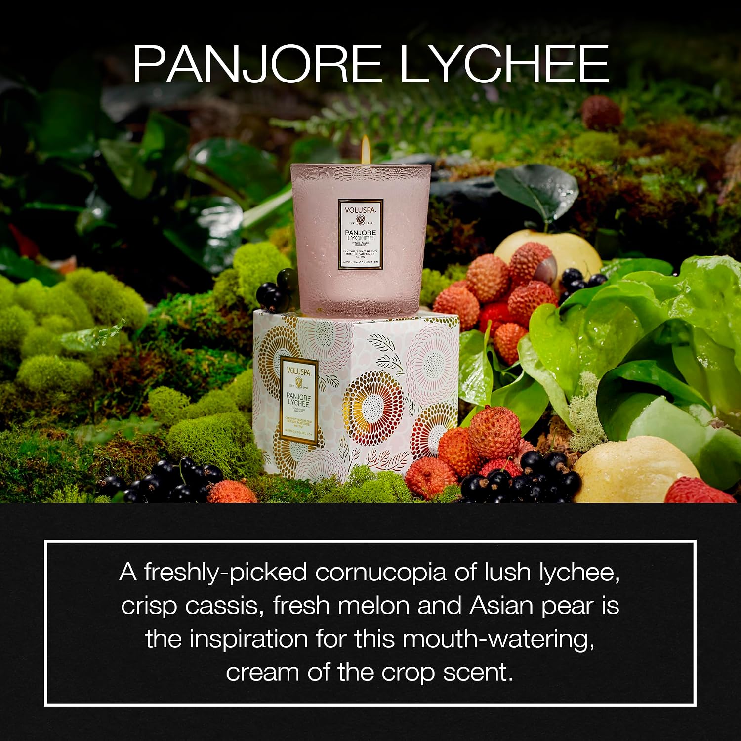 Voluspa Panjore Lychee, Classic Boxed Candle, 9 Ounce, 60 Hour Burn Time, Coconut Wax for Clean Burning, Handcrafted in the USA