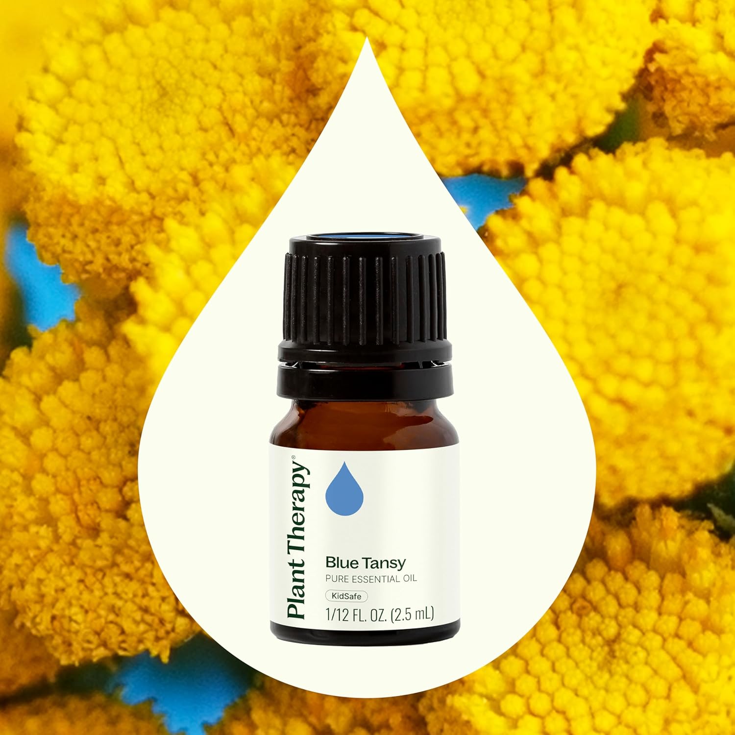 Plant Therapy Blue Tansy Essential Oil, 2.5 mL (1/12 oz), 100% Pure and Undiluted, Natural Aromatherapy for Diffuser or DIY Skincare
