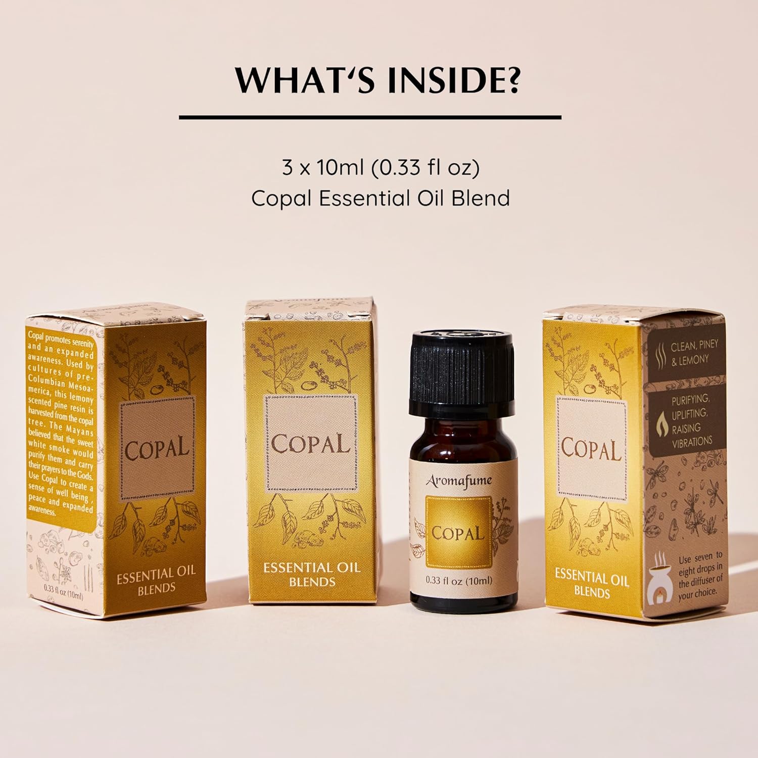 Copal Resin Essential Oil Diffuser Blend 30ml by Aromafume | Protium Copal (Burseraceae) Extract | Native to Mexico | Deepened Relaxation & an ambience for Rituals | Charged with Pure Resins