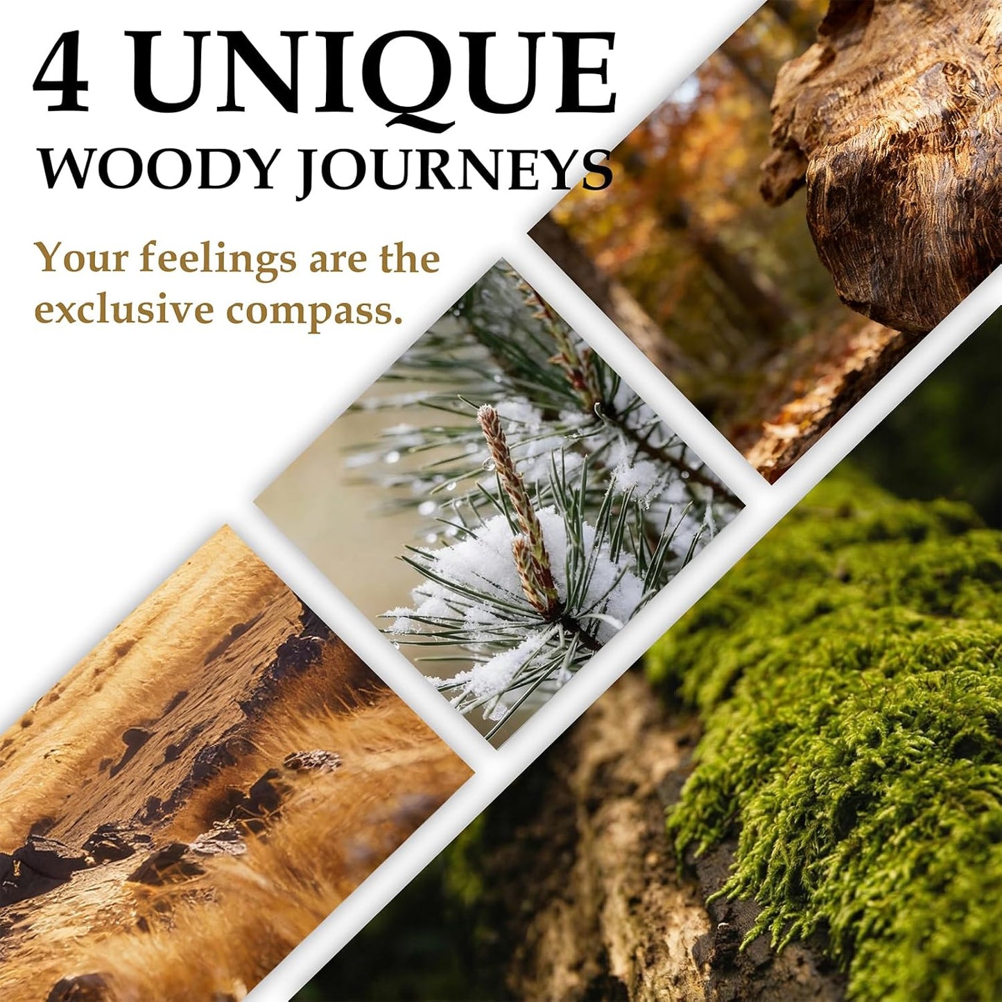 Scent Hunter Woody Scented Candle Gift Set - 4 Pack 6.4oz(1.6 * 4) Natural Soy Wax Candles for Home Scented - Stress Relief & Meditation Forest Fragrance Aromatherapy Candles for Men & Women Gift
