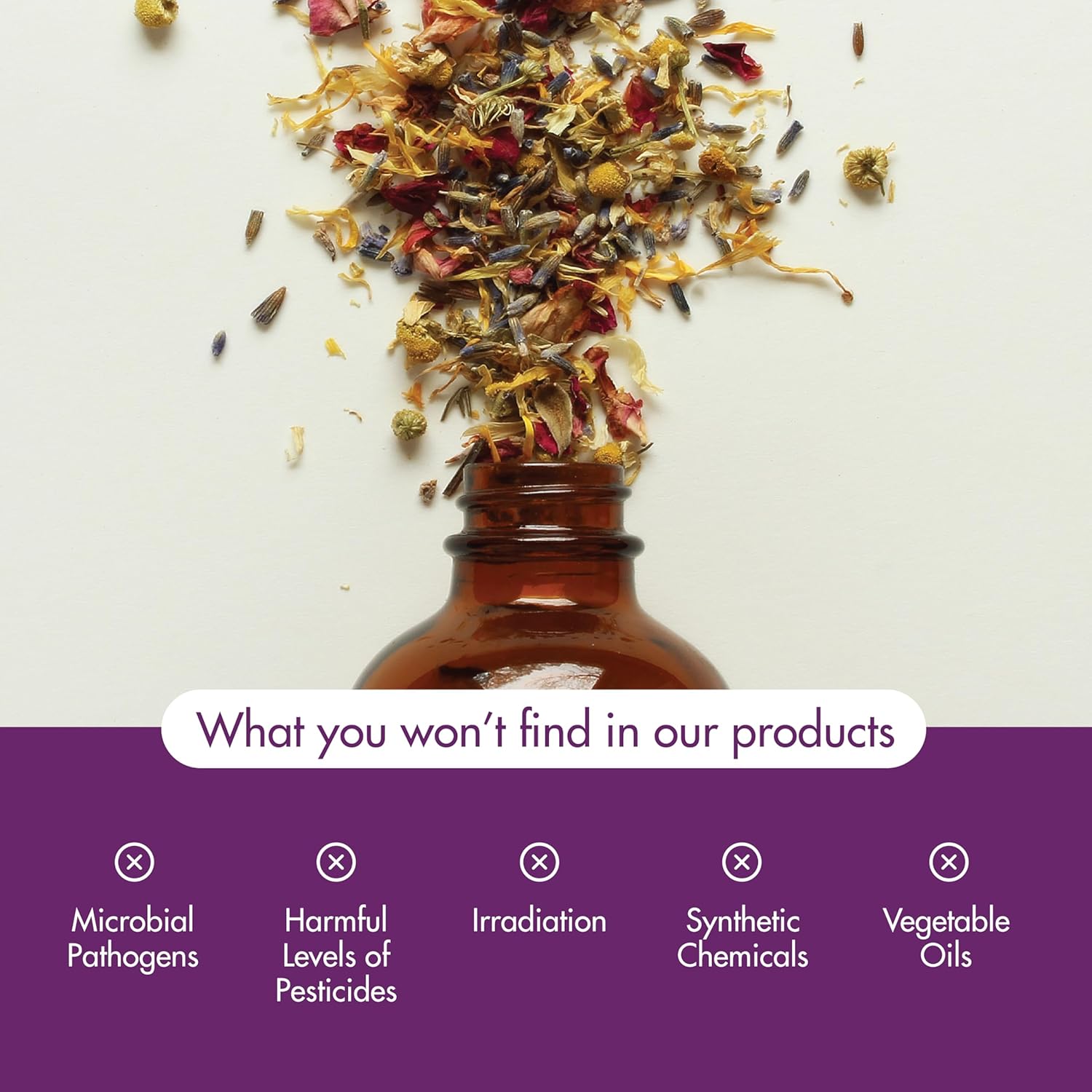 NOW Foods Essential Oils, Spiced Cider Oil Blend, Citrus Spice Scent With Warm and Comforting Attributes, 1-Ounce