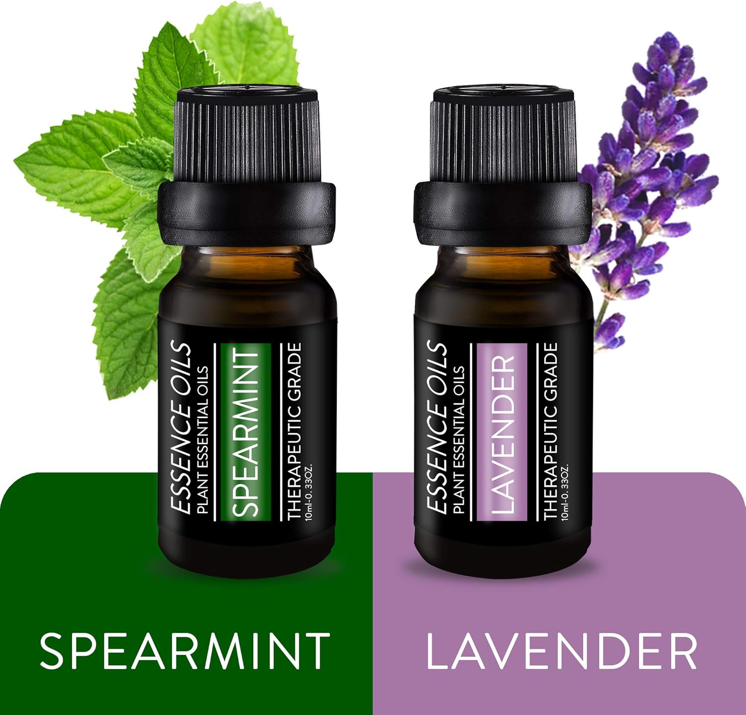 Pure Daily Care Aromatherapy Top 10 Essential Oil Set – Therapeutic Grade Single Ingredient Oils – Uplift Mind, Body and Spirit – 10 x 10 Ml Bottles – No Fillers & No Additives