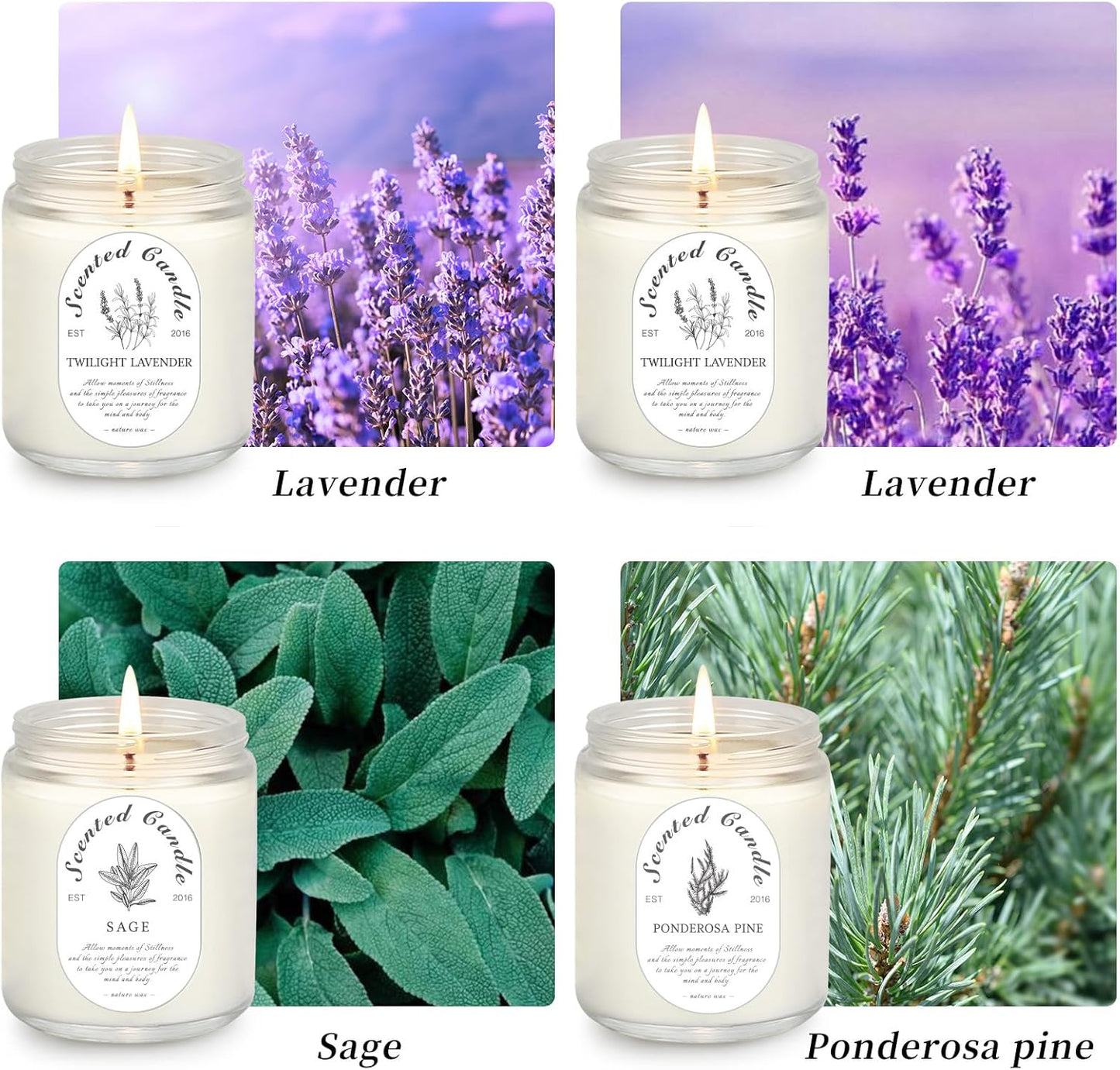 Scented Candle Gift Set, 4 Pack Soy Wax Scented Candles for Home – Lavender, Sage & Ponderosa Pine – Aromatherapy Candles for Relaxation, Stress Relief & Gifts for Women