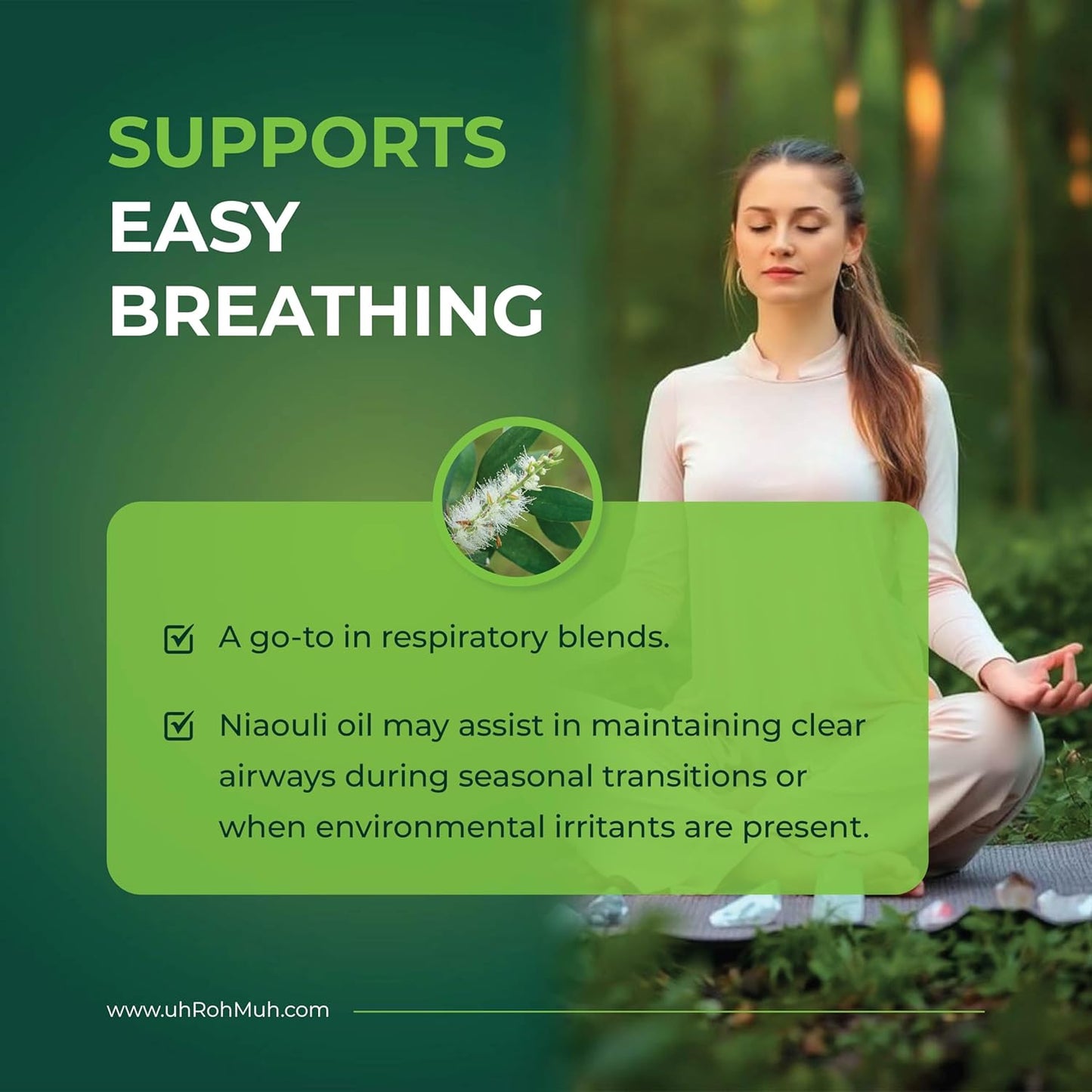 Niaouli Essential Oil – 100% Pure & Natural, Steam Distilled from Melaleuca viridiflora Leaves | Fresh Camphoraceous Aroma for Respiratory Support, Skincare & Diffusion | from Madagascar | 4 Fl Oz