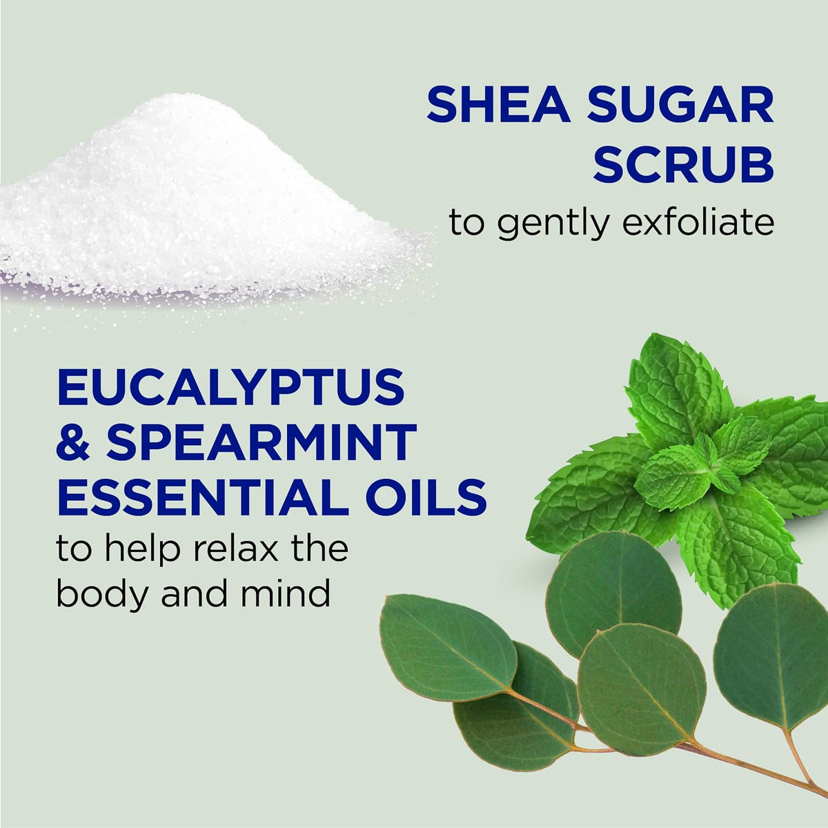 Dr Teal's Shea Sugar Scrub