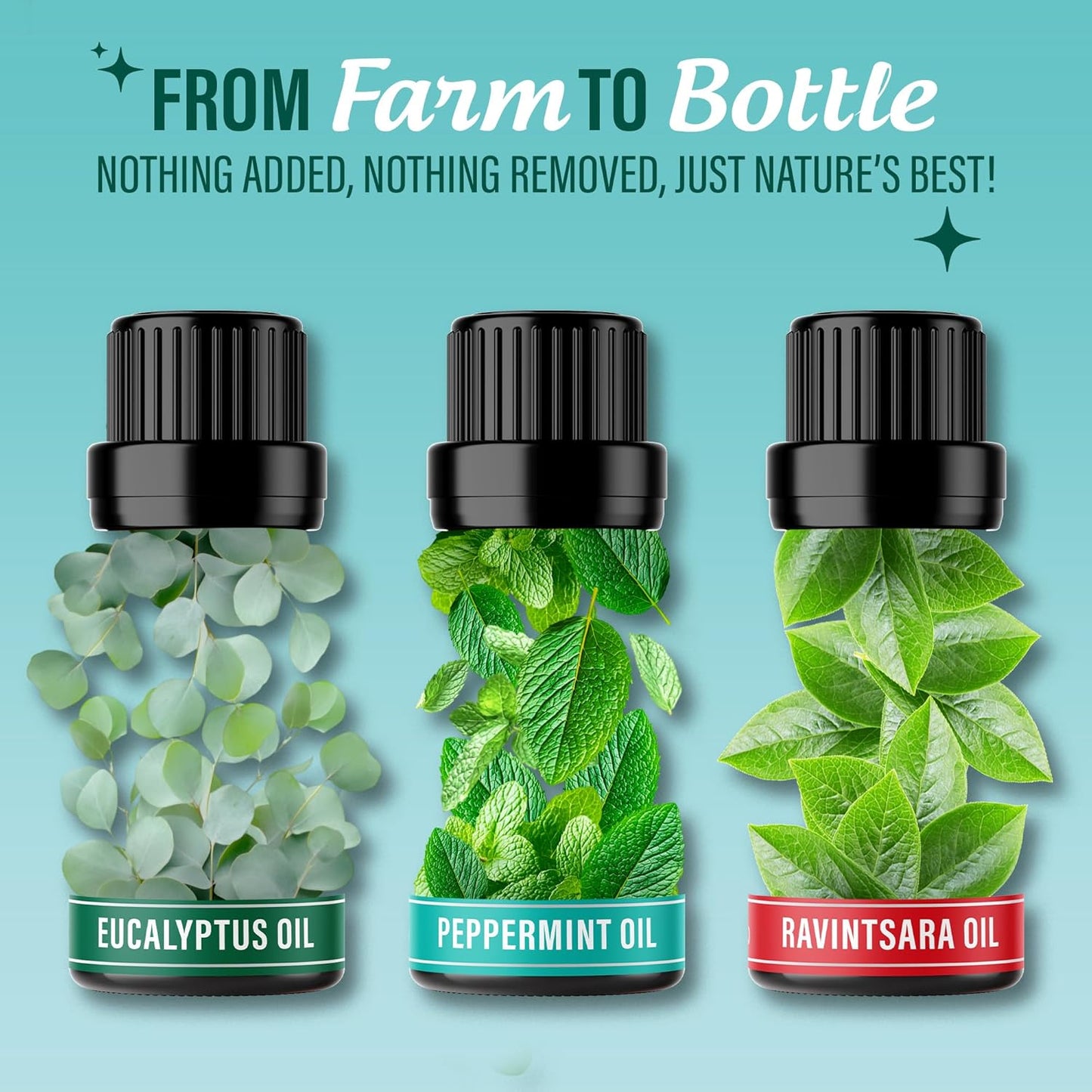 GuruNanda Breathe Essential Oil Set (Pack of 3 x 0.34 Fl Oz) - 100% Pure, Natural & Undiluted Diffuser Oils for Aromatherapy - Helps Support Clear Breathing - Suitable for Massages & DIY Recipes