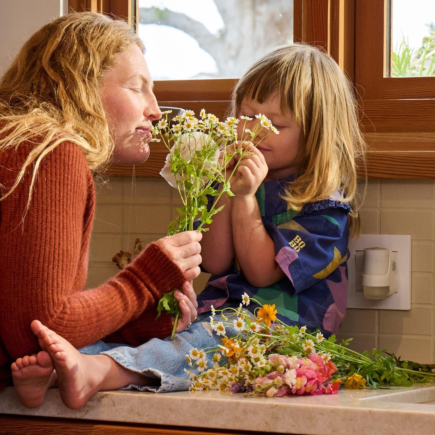 MRS. MEYER'S CLEAN DAY Premium Scented Oil Diffuser Kit, Lavender, 1 warmer and .67 fl oz refill