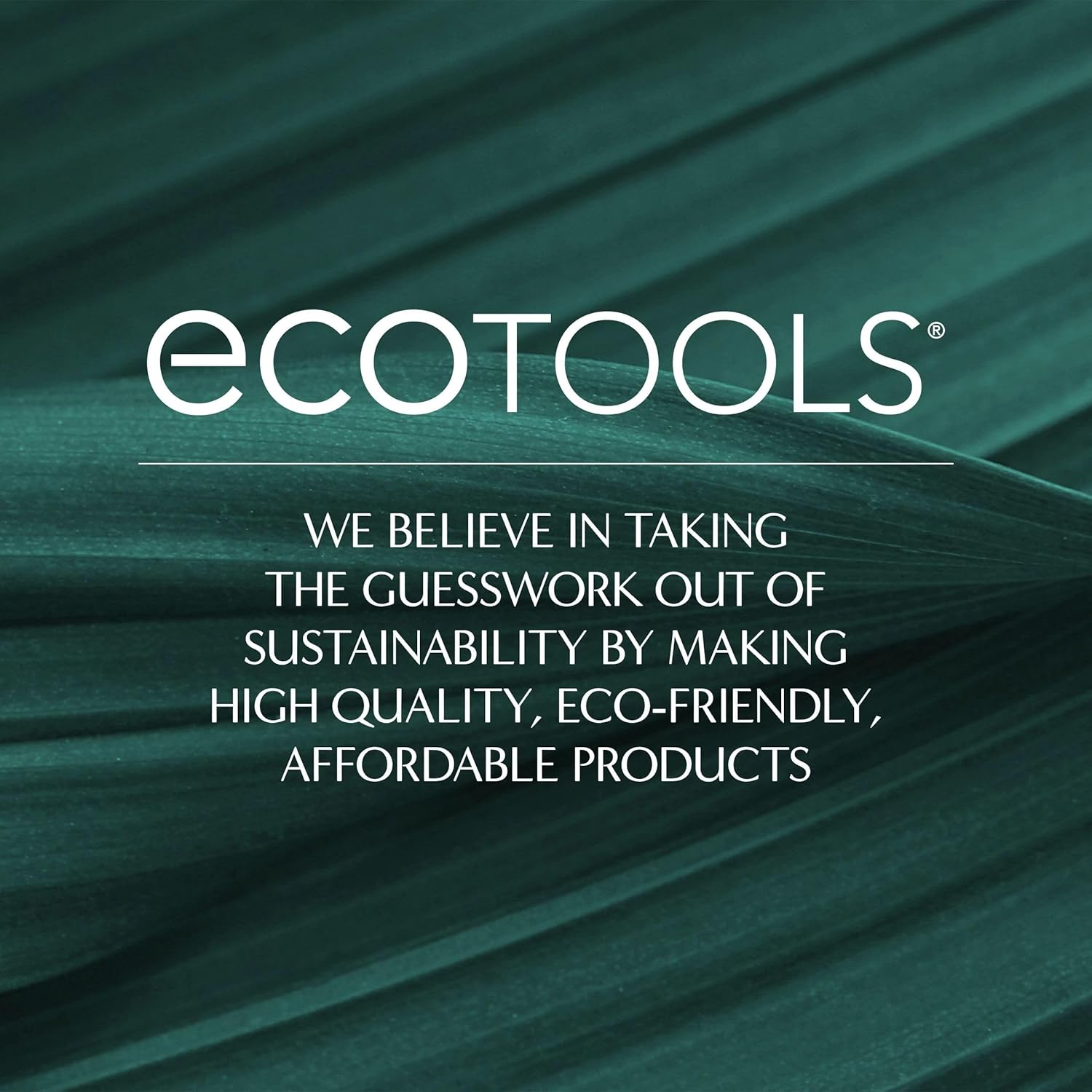 EcoTools Dry Body Brush, Cruelty-Free Bristles Exfoliate & Smooth Skin, Dry Brushing Removes Flaky Skin, May Help Improve Circulation & Tone, Vegan & Cruelty-Free, 1 Count