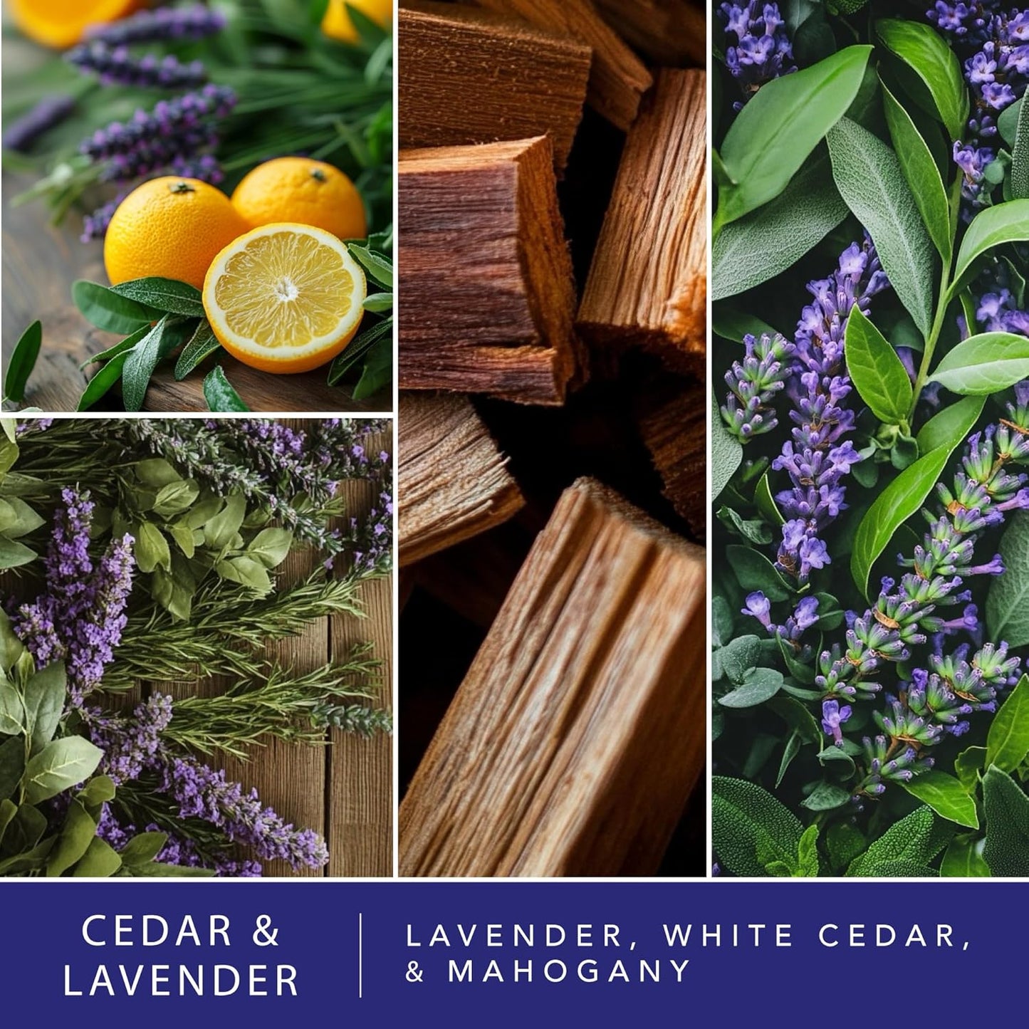 ScentSationals Cedar & Lavender Scented Wax Melts - Lavender, White Cedar, & Mahogany, 10oz (24 Cubes)