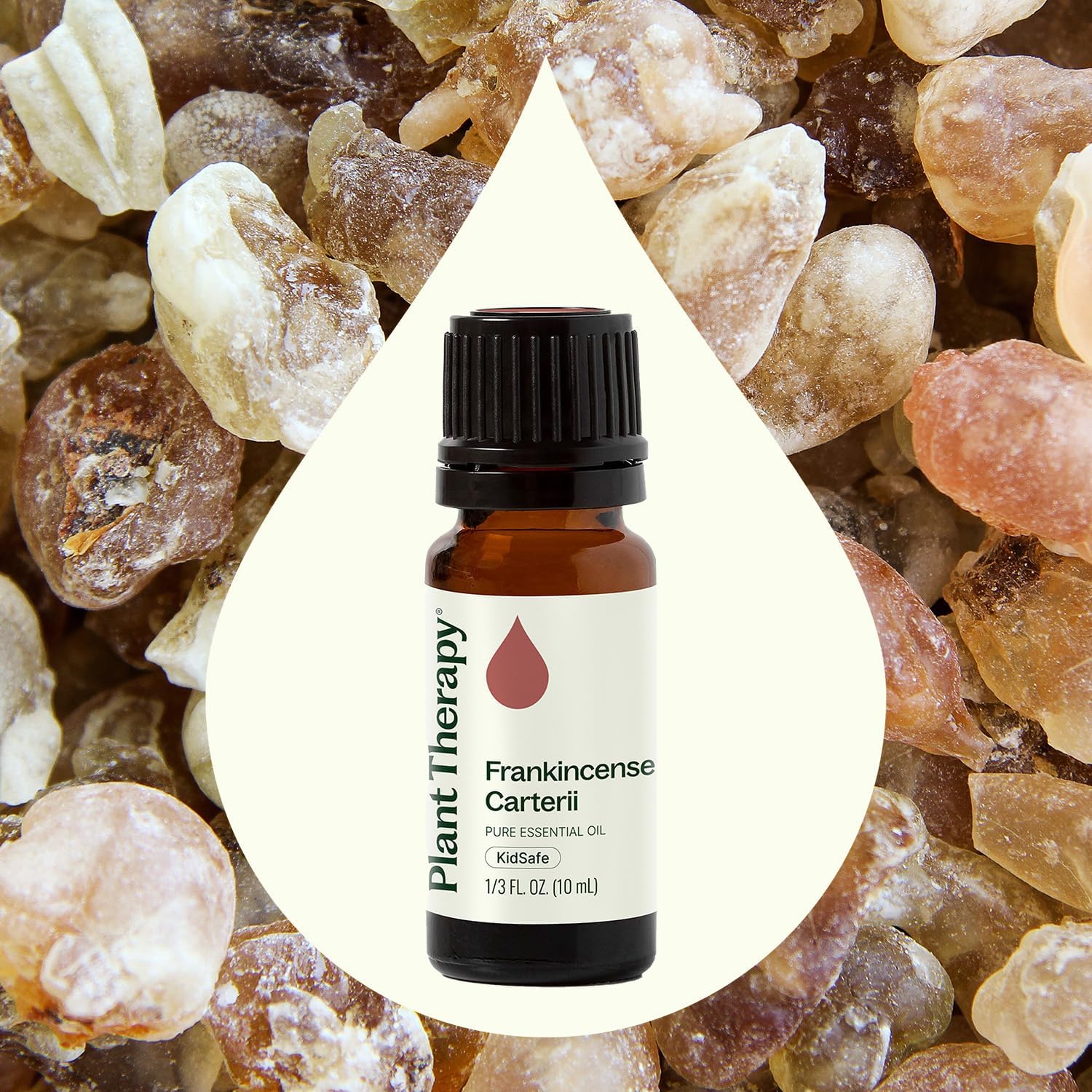 Plant Therapy Frankincense Carterii Essential Oil 10 mL (1/3 oz), 100% Pure, Undiluted, Natural Aromatherapy, Soothing Essential Oil for Meditation, Skin Irritation, and Sore Muscle Relief
