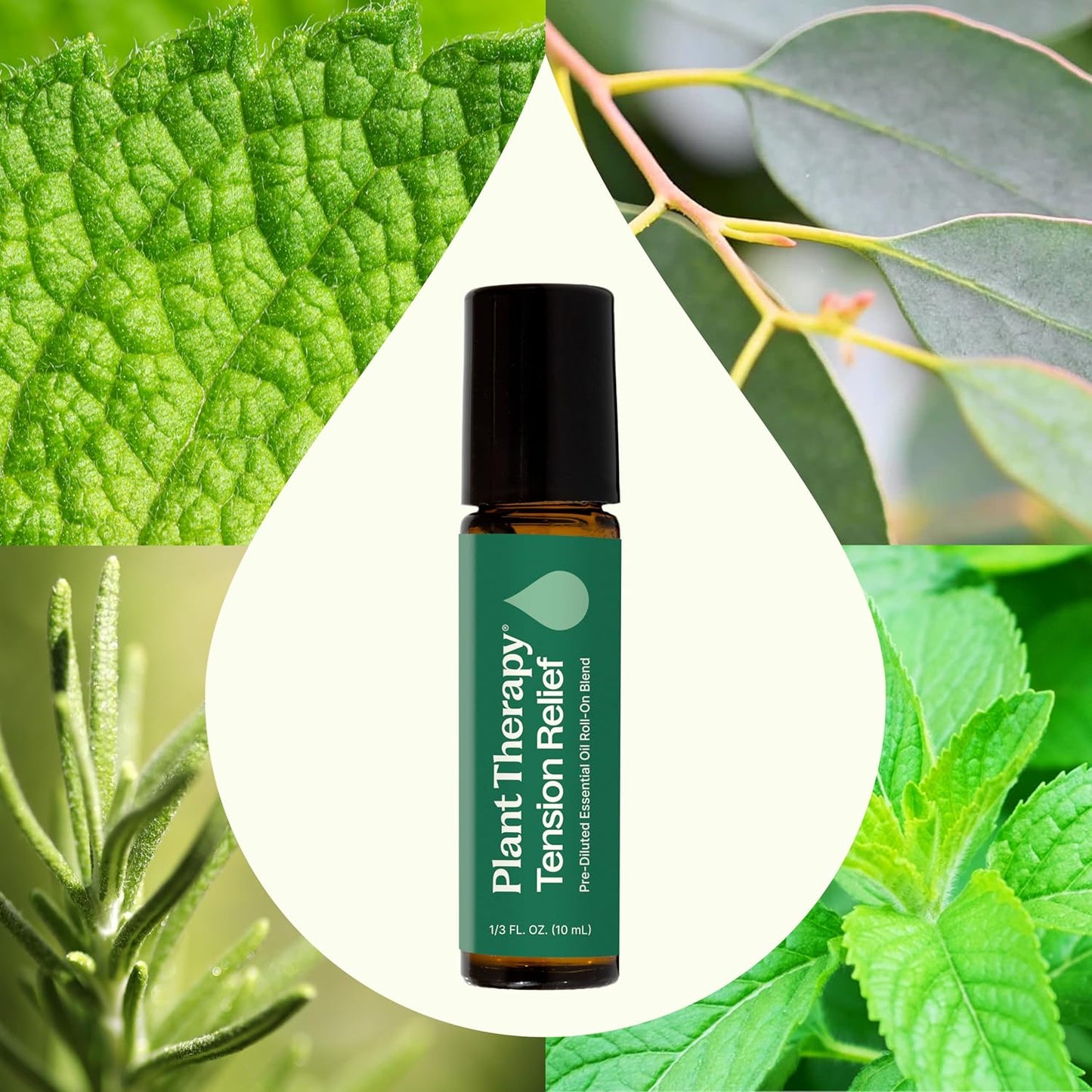 Plant Therapy Tension Relief Essential Oil Blend Pre-Diluted Roll-On, 10 mL (1/3 oz), Pure Essential Oils Diluted in Fractionated Coconut Oil for Ready-to-Use Application