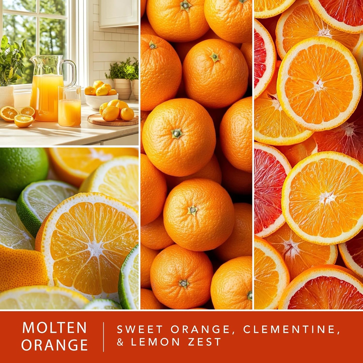 ScentSationals Molten Orange Scented Wax Melts - Sweet Oranges, Clementine, & Lemon Zest, 10oz (24 Cubes)