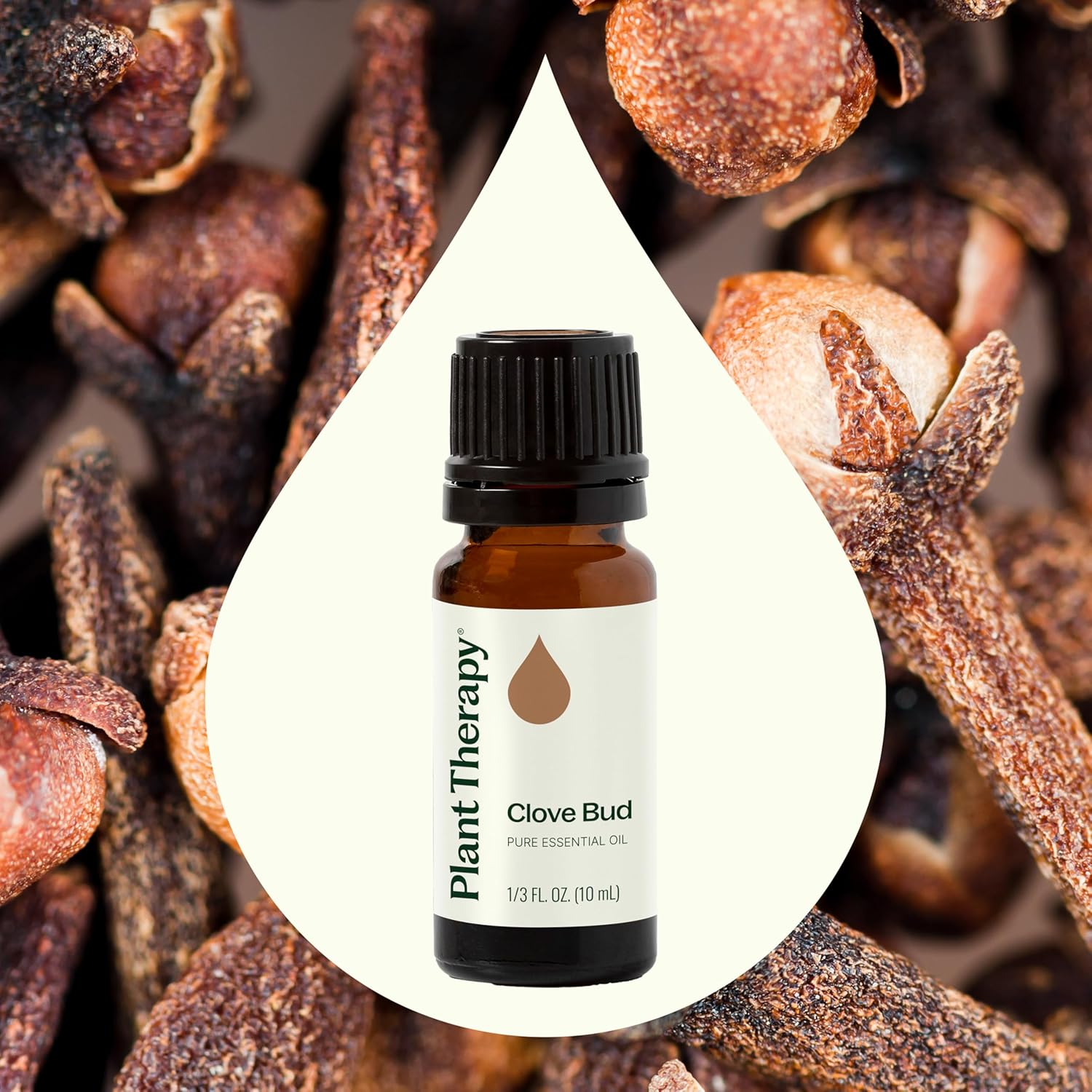 Plant Therapy Clove Bud Essential Oil 10 mL (1/3 oz), 100% Pure, Undiluted, Natural Aromatherapy, Immune Support, Sore Muscle & Joint Relief