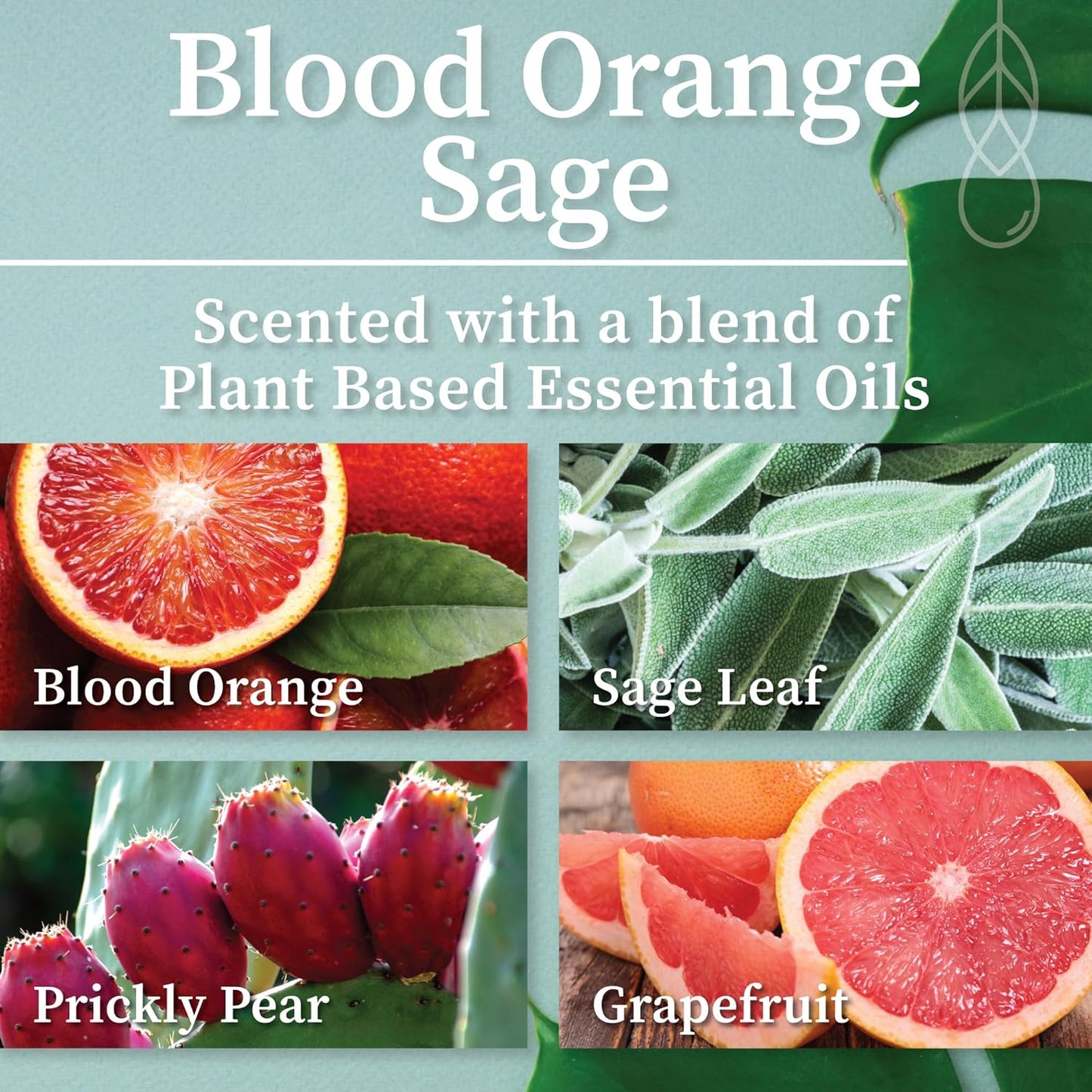 Hemlock Park Blood Orange Sage Room & Linen Spray Refill | Botanical Mist Crafted with Essential Oils | 16 oz