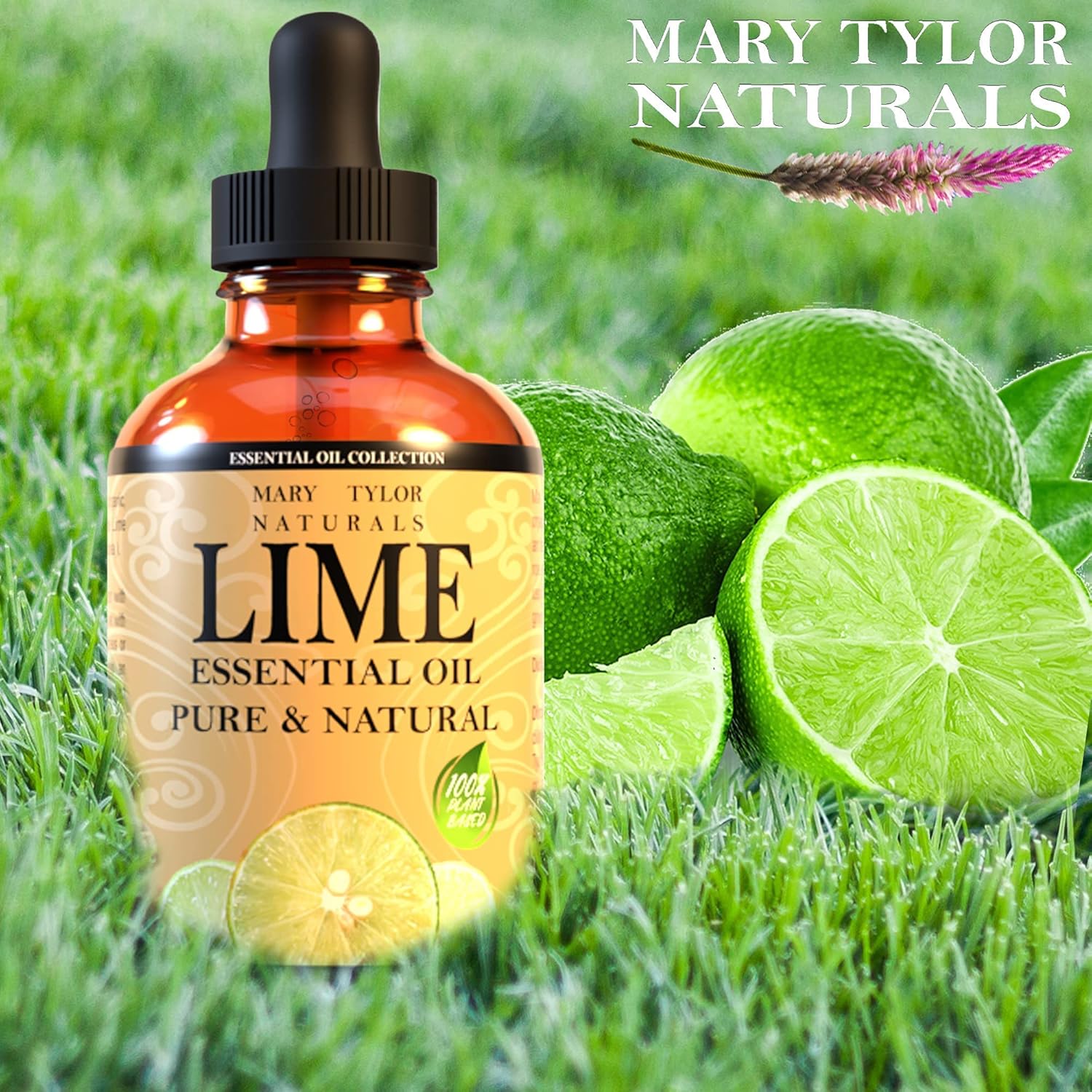 Lime Essential Oil (4 oz), Therapeutic Grade, 100% Pure and Natural, Perfect for Aromatherapy, Diffuser, DIY and Much More by Mary Tylor Naturals
