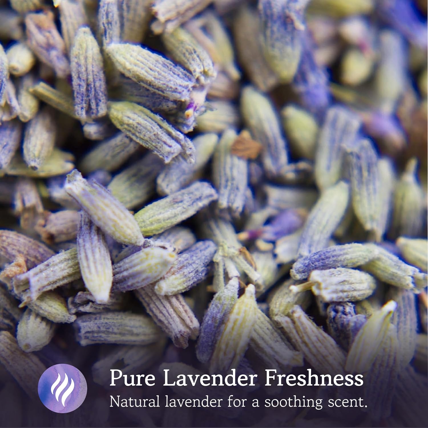 LAVODIA Lavender Sachets for Drawers and Closets - Pack of 20 Sachet Bags with Dried Lavender Flowers - Closet Deodorizer Odor Eliminator for Fresh Scented Storage