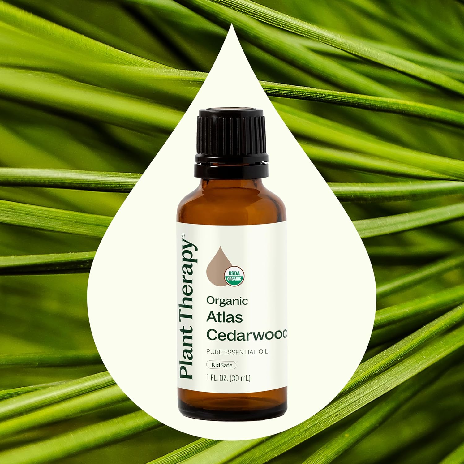 Plant Therapy Organic Atlas Cedarwood Essential Oil 30 mL (1 oz), 100% Pure, USDA Certified Organic, Undiluted, Soothing Aromatherapy for Scalp Health and Muscle Soreness