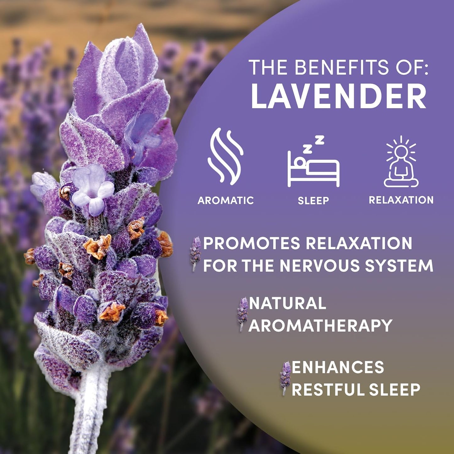 Worldwide Botanicals Organic Lavender Flowers, 4 ounces, Pure European Lavender buds, Perfect for Aromatherapy, Sachets, Wedding celebrations, Tea flavoring, Eye pillows Scenting The Home