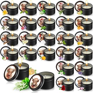 Nuanchu 24 Pack Christmas Scented Candles Gift Set Highland Cattle Candle for Her Him 2oz Natural Soy Wax Jar Long Lasting Aromatherapy Bulk Favors Set for Christmas Party Home Decor
