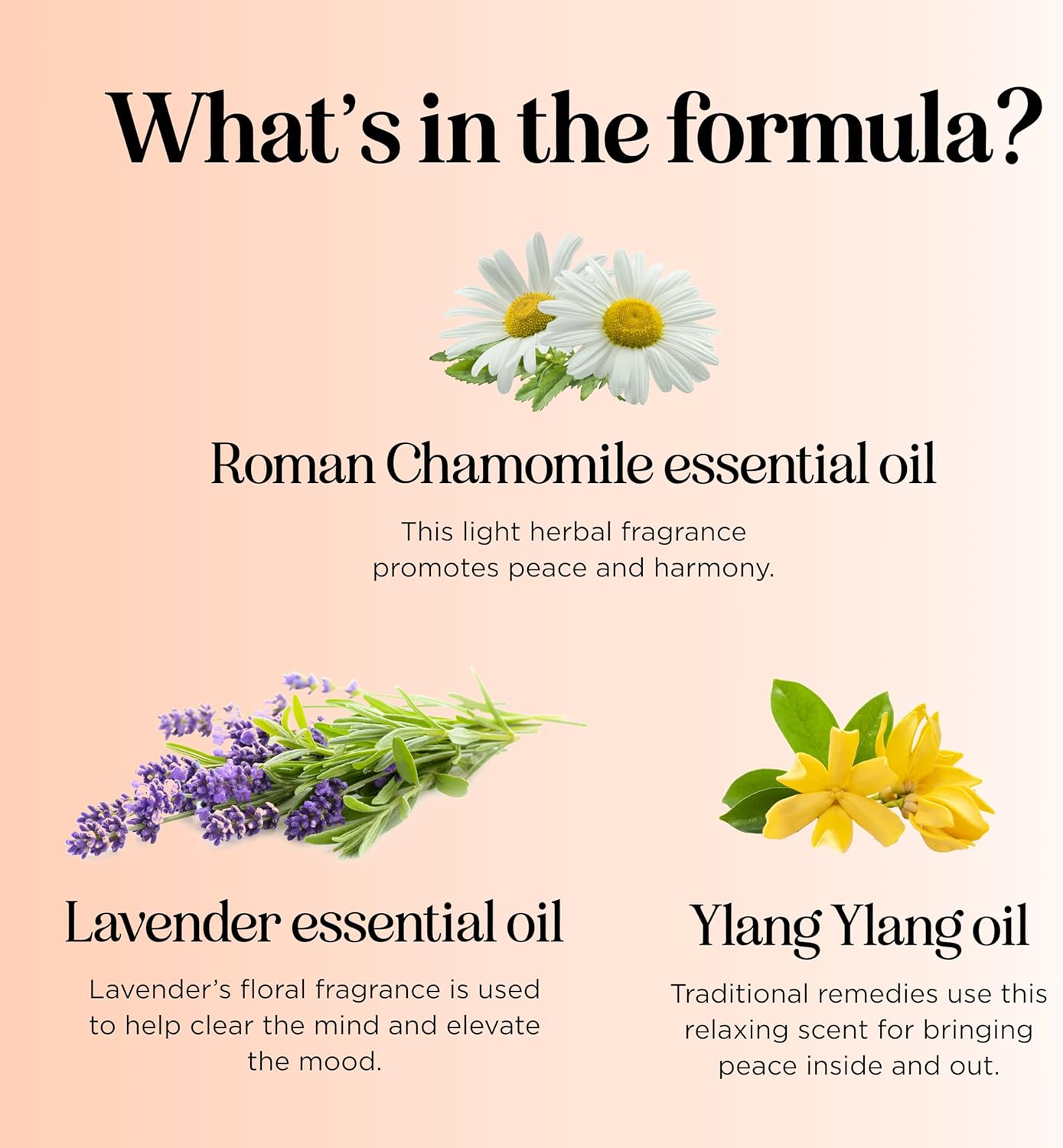 Relaxing Essential Oil Roll On - Aromatherapy Essential Oil Roller with Calming Essential Oils - Relaxing Essential Oil Blend with Lavender Ylang Ylang Chamomile & Geranium for Stress Support (3 Pack)