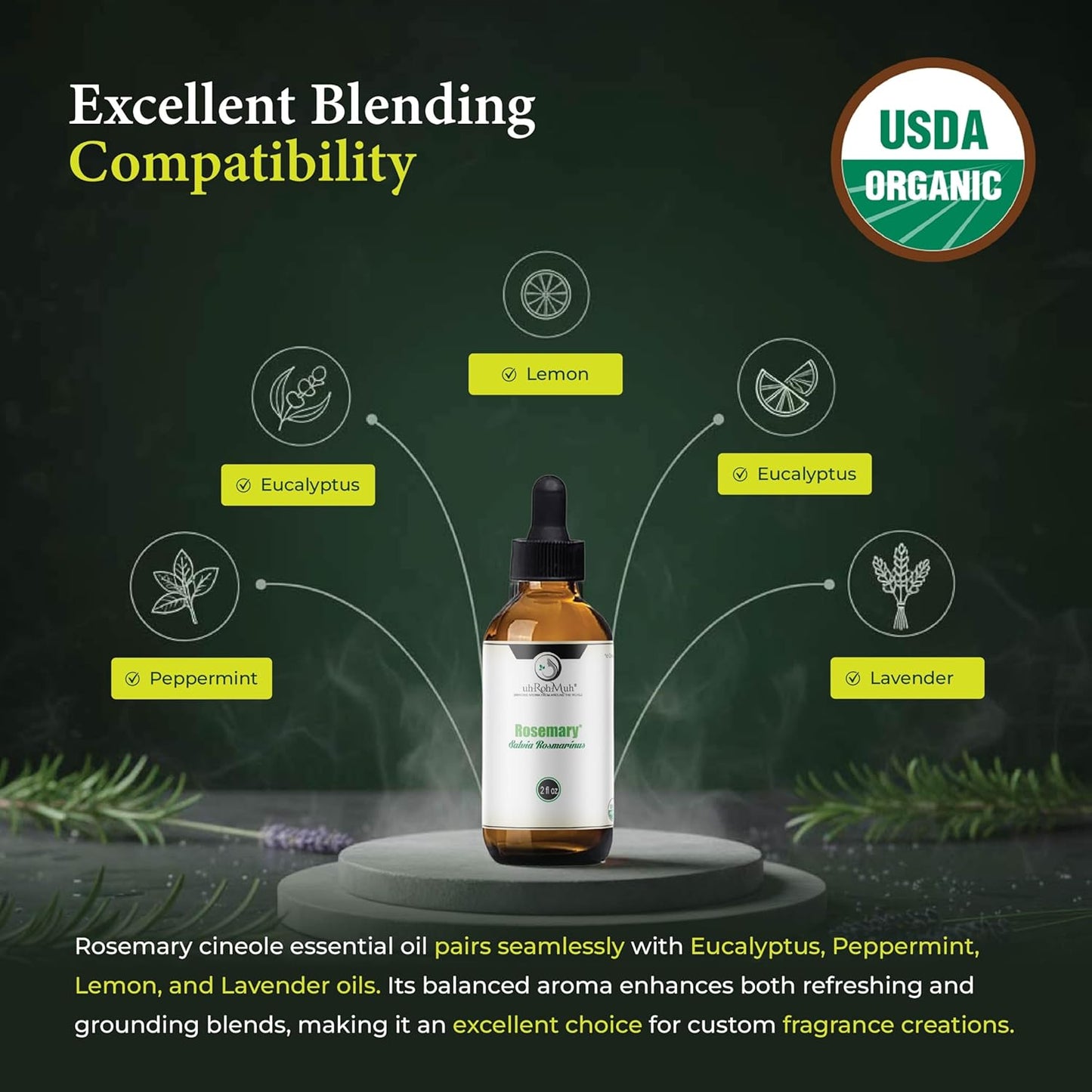 Organic Rosemary Essential Oil Chemotype Cineole | 100% Pure Steam Distilled Rosemary Oil | Fresh Herbaceous Aroma for Diffuser Aromatherapy, Massage Blends & DIY Recipes | Spain – 2 Fl Oz