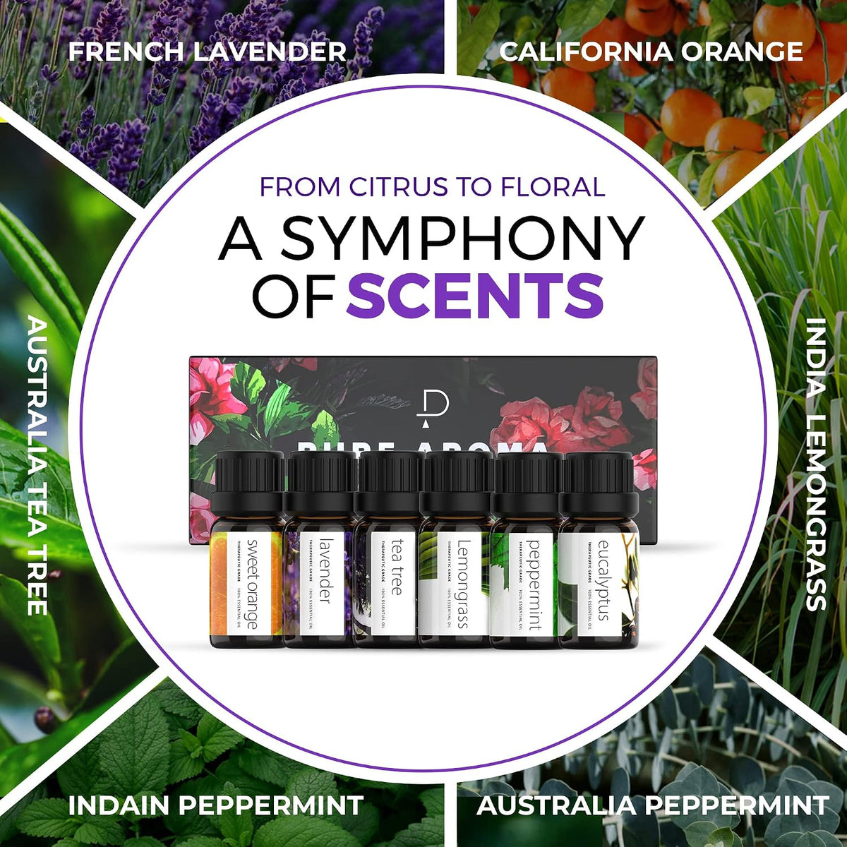 Pure Aroma Essential Oils Aromatherapy Set - 6 x 10ML Oils for Diffusers
