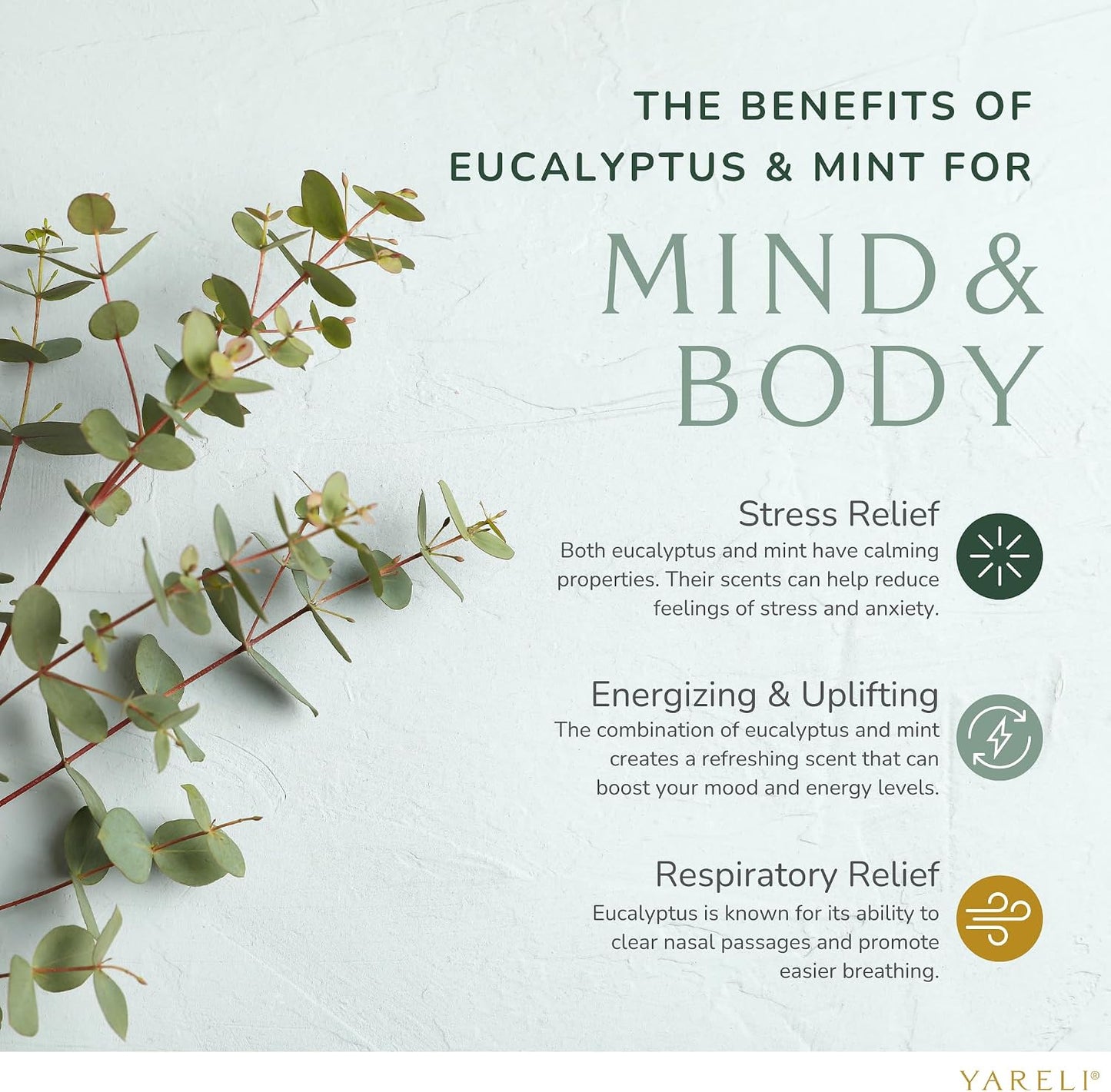 Yareli Eucalyptus Mint Shower Steamers Aromatherapy – Potent Essential Oils, Slow-Dissolve Tablets for Daily Shower Self-Care – Dye-Free, Made in USA – 12 Pack