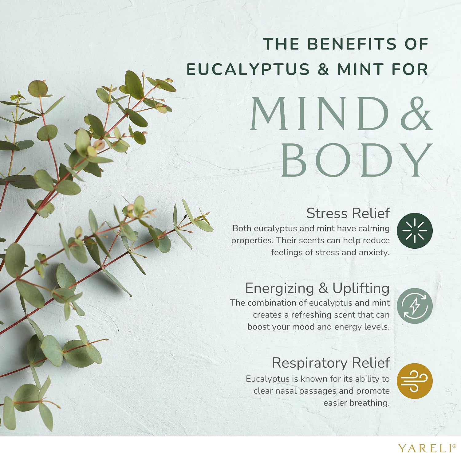 Yareli Eucalyptus Mint Shower Steamers Aromatherapy – Potent Essential Oils, Slow-Dissolve Tablets for Daily Shower Self-Care – Dye-Free, Made in USA – 12 Pack