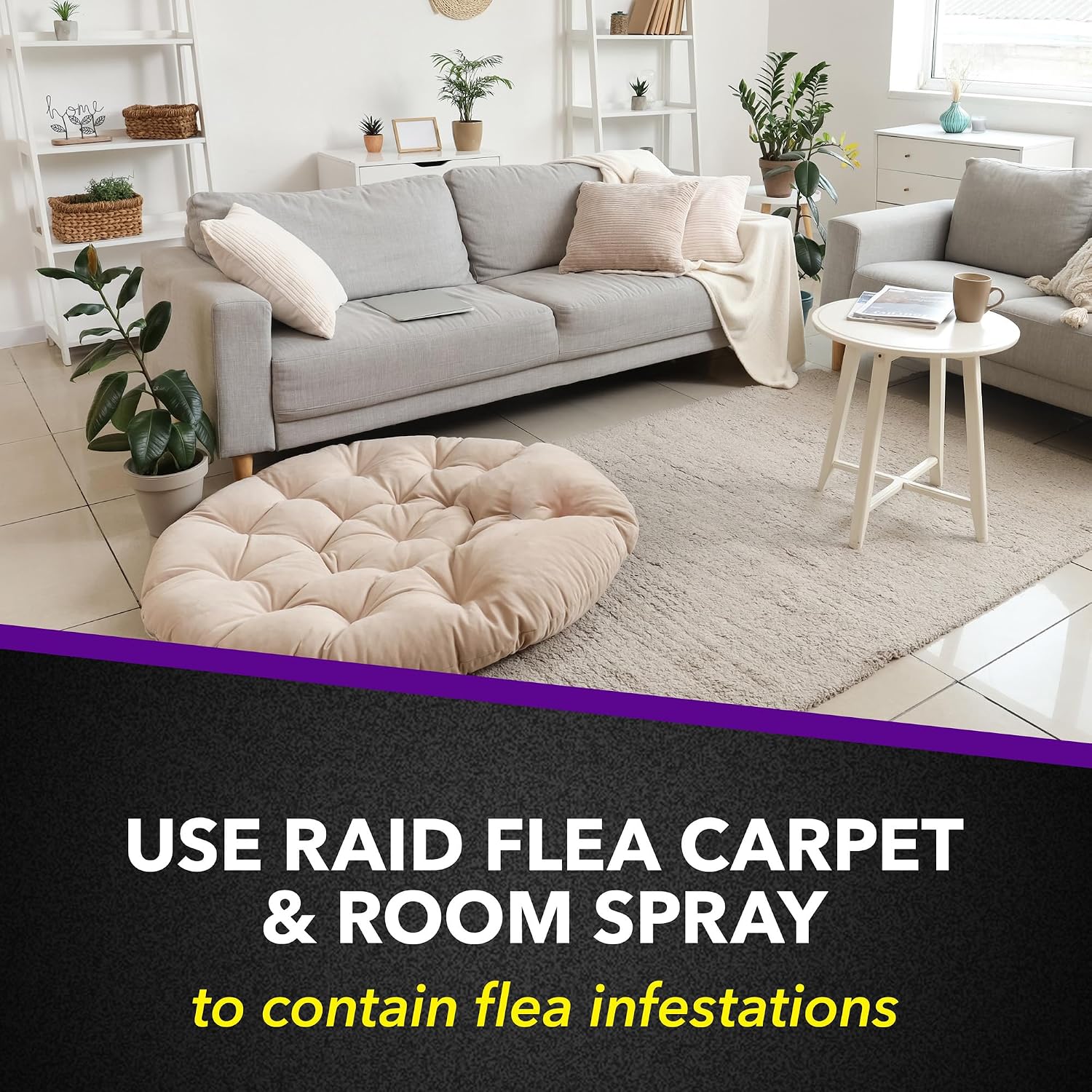 Raid Flea Killer Carpet & Room Spray, Kills hatching eggs for up to 4 months, 16 Oz