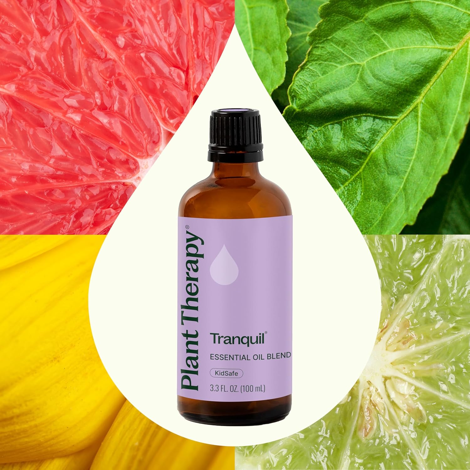 Plant Therapy Tranquil Essential Oil Blend 100 mL (3.3 oz), 100% Pure, Undiluted, Natural Aromatherapy for Relaxation and Better Sleep