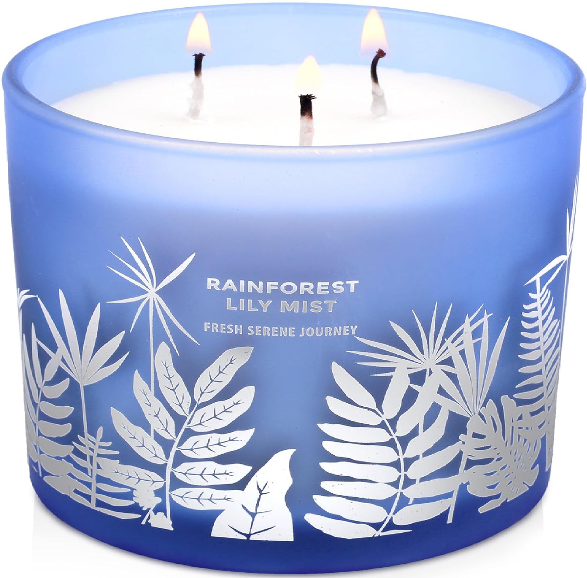 Large 3 Wick Scented Soy Candle for Home